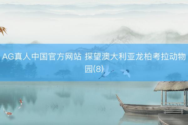 AG真人中国官方网站 探望澳大利亚龙柏考拉动物园(8)
