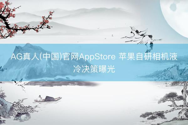 AG真人(中国)官网AppStore 苹果自研相机液冷决策曝光
