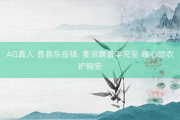 AG真人 息县东岳镇: 麦浪飘香丰充至 暖心助农护粮安