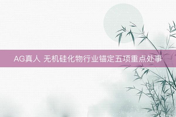 AG真人 无机硅化物行业锚定五项重点处事