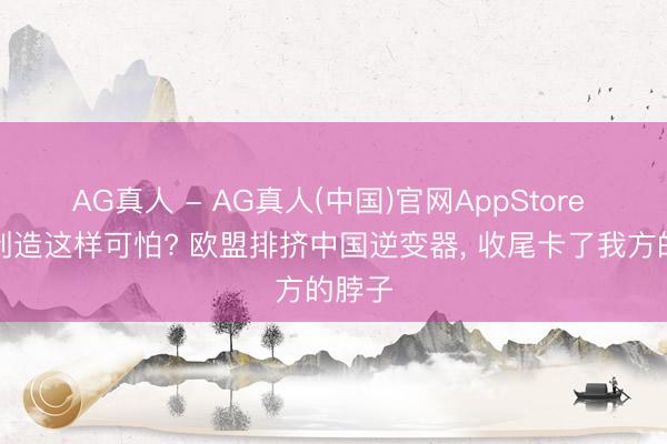 AG真人 - AG真人(中国)官网AppStore 中国制造这样可怕? 欧盟排挤中国逆变器， 收尾卡了我方的脖子