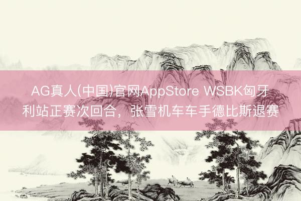 AG真人(中国)官网AppStore WSBK匈牙利站正赛次回合，张雪机车车手德比斯退赛