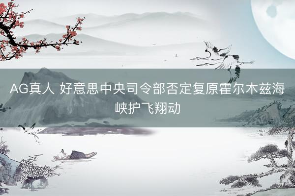 AG真人 好意思中央司令部否定复原霍尔木兹海峡护飞翔动