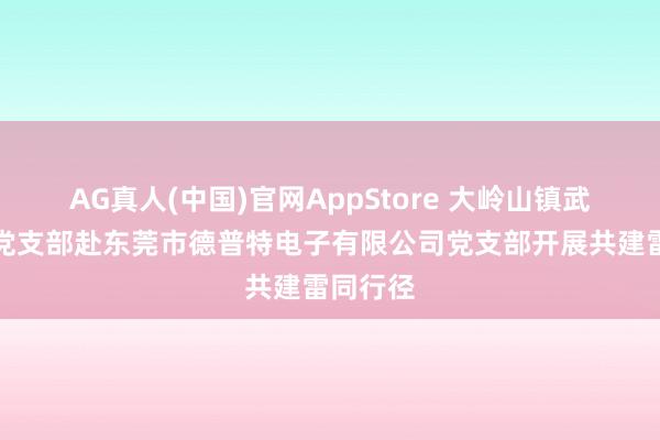 AG真人(中国)官网AppStore 大岭山镇武装系统党支部赴东莞市德普特电子有限公司党支部开展共建雷同行径